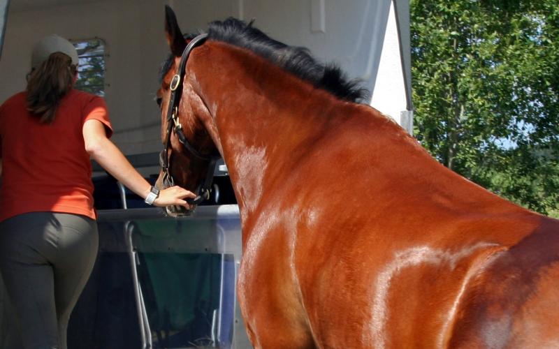 Onderhoud aan trailer en aanhangwagen